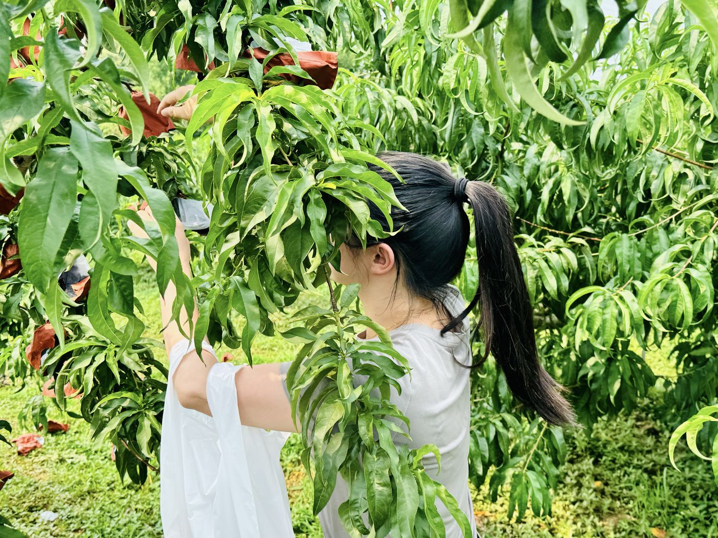 平安银行 · 烧烤团建